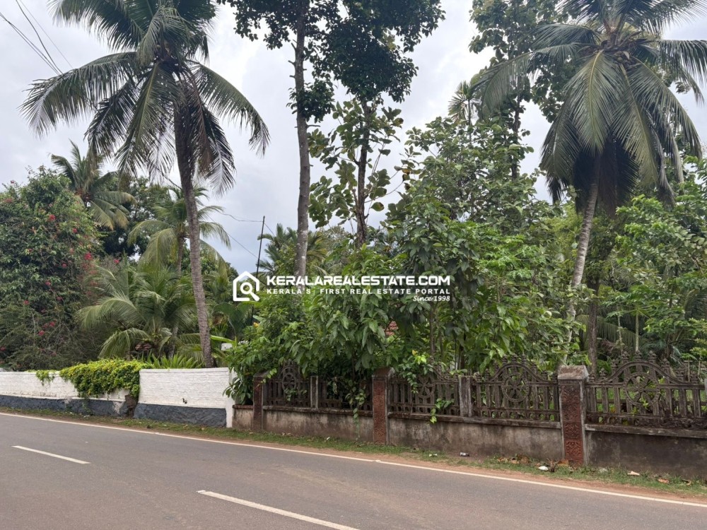 PRIME COMMERCIAL PLOT FOR SALE IN ILLIKKAL, KOTTAYAM