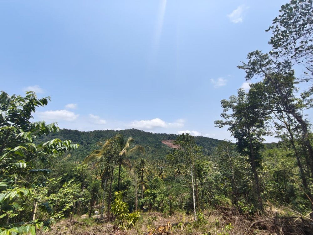 Land for Sale in  Seethamount, Wayanad 