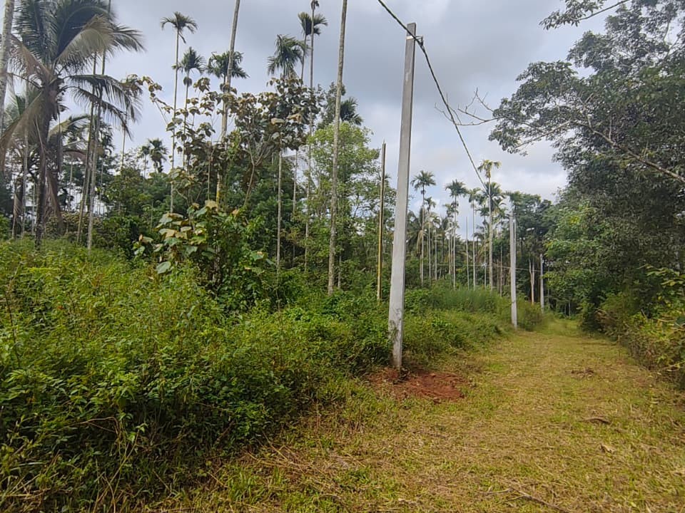 1 Acre Land for Sale in Koleri, Wayanad 