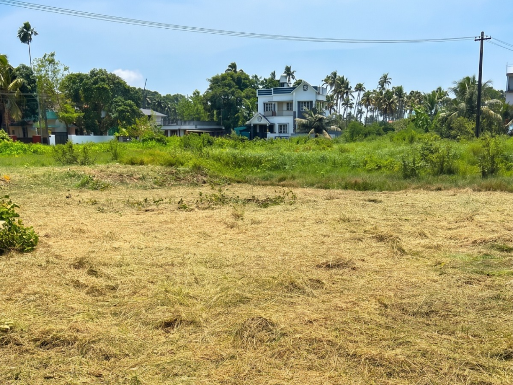 Premium Plot for Sale in Thuthiyoor, Kakkanad, Ernakulam 