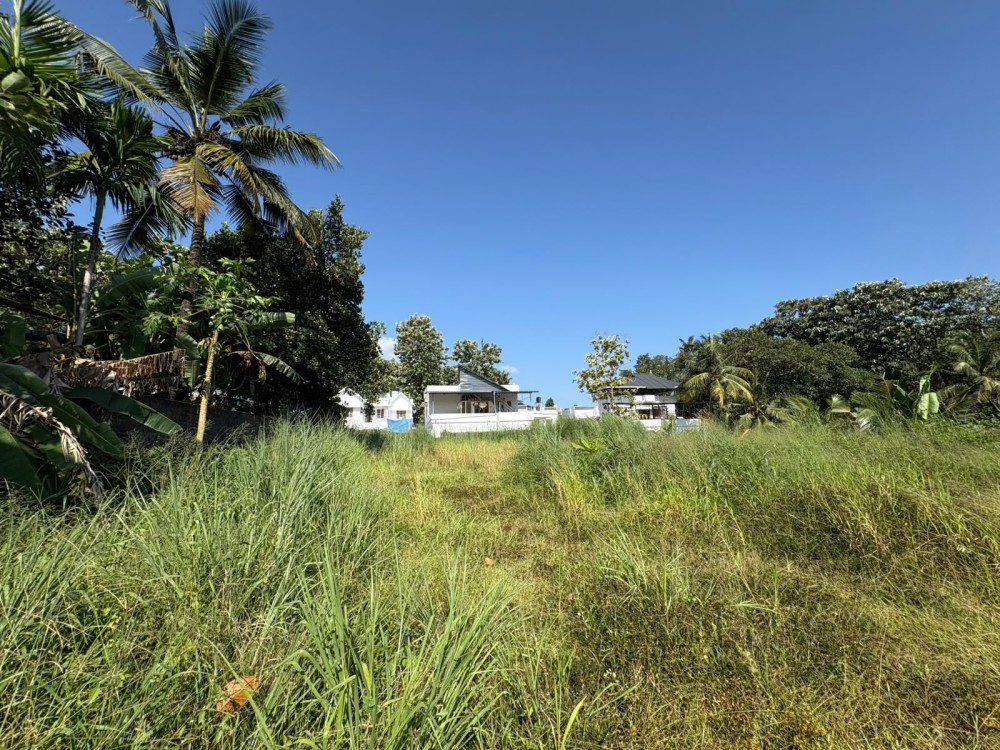 Residential Plots for Sale Moolamkulam near Chingavanam, Kottayam 