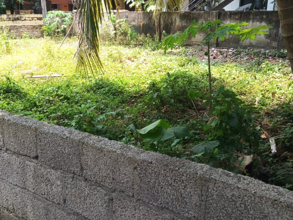 Prime Land for Sale in Vyttila, Ernakulam 