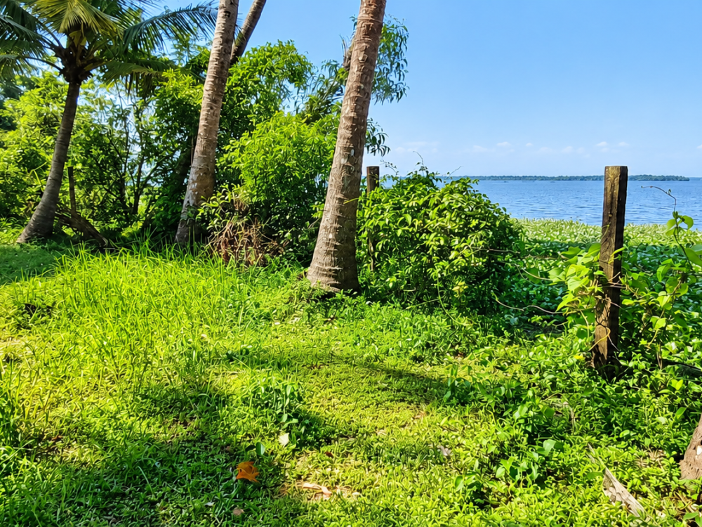 1 Acre Waterfront Land for Sale Near Udayamperoor, Ernakulam