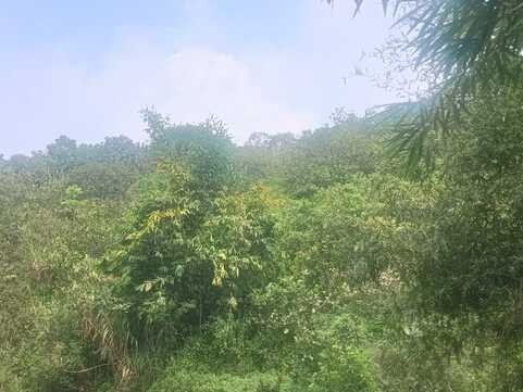 2.70 Acres of Scenic Land for Sale in Mananthavady, Wayanad