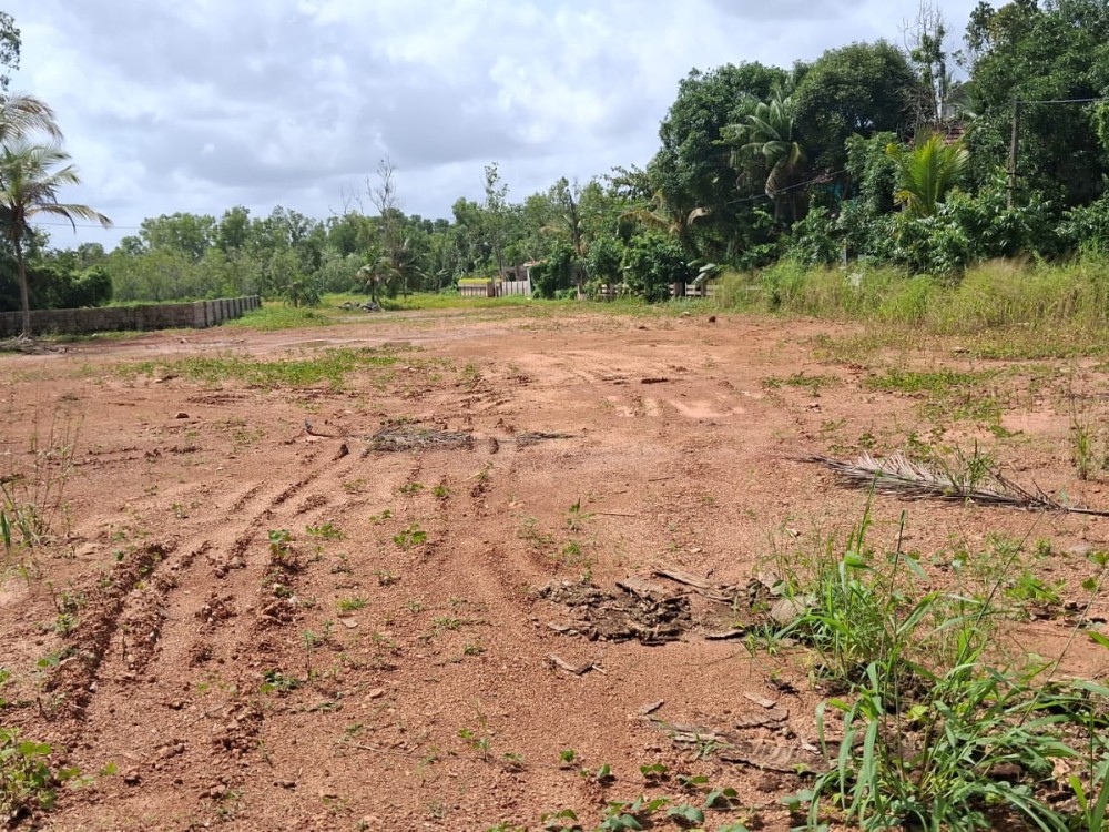 Residential Plot for Sale in Kandanad, Tripunithura, Ernakulam