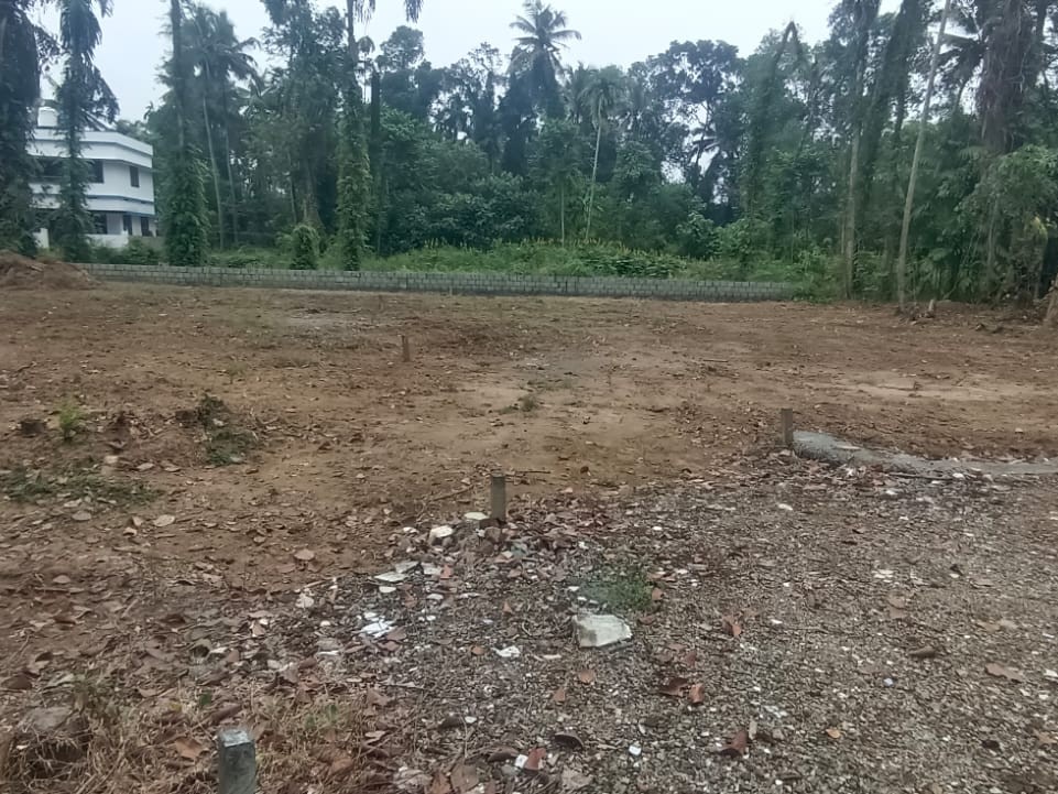 Prime 21-Cent Corner Plot for Sale in Manjummel, Cheranalloor, Ernakulam 