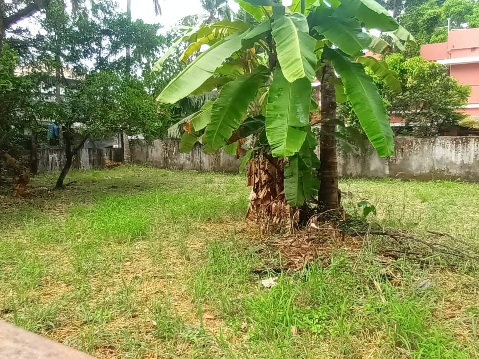 28 Cents of Land for Sale Near Nucleus Mall, Maradu, Ernakulam