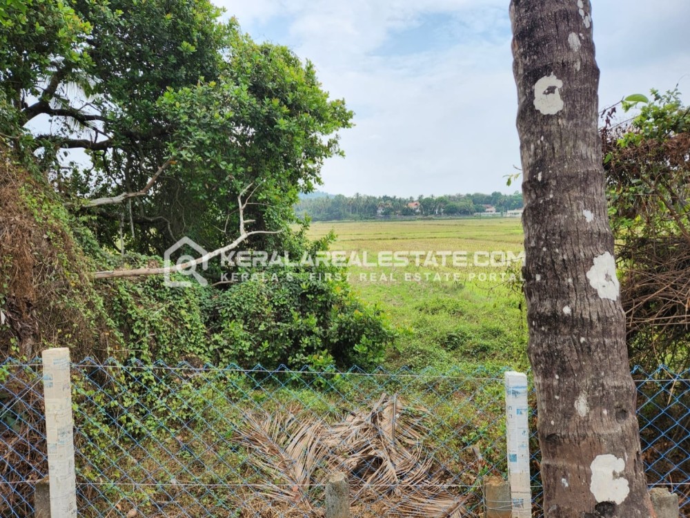 Land for Sale at Amalanagar, Thrissur
