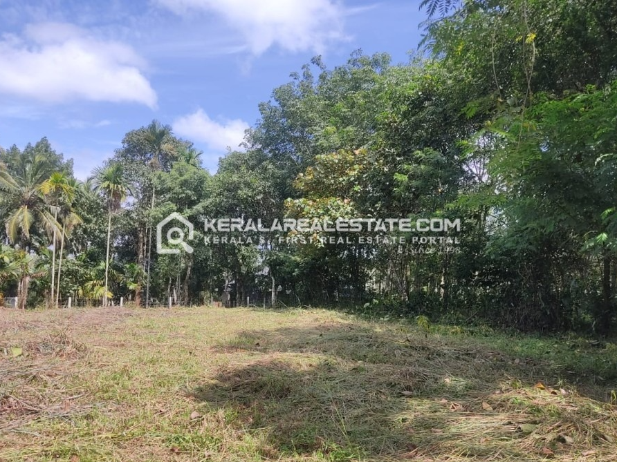 Land for Sale in Meenangadi, Wayanad 
