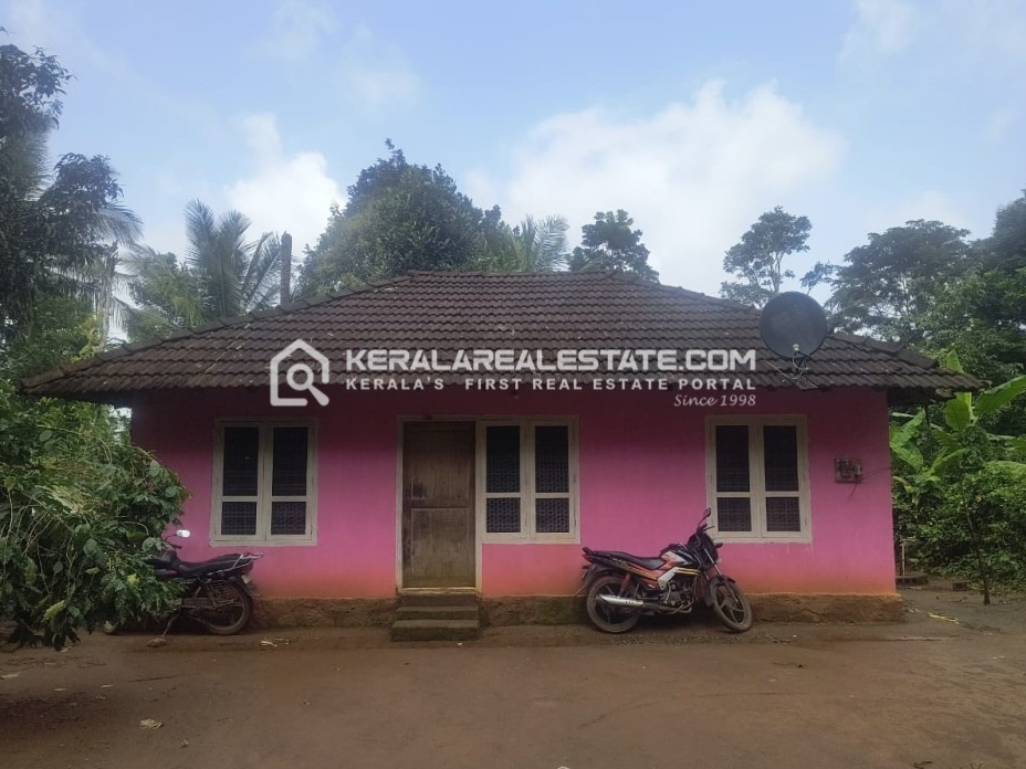 Land with House for Sale in Pulpally, Wayanad 
