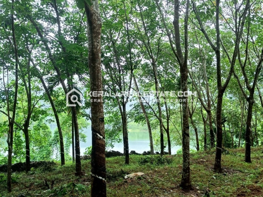 Land for Sale in Kakkayam, Kozhikode