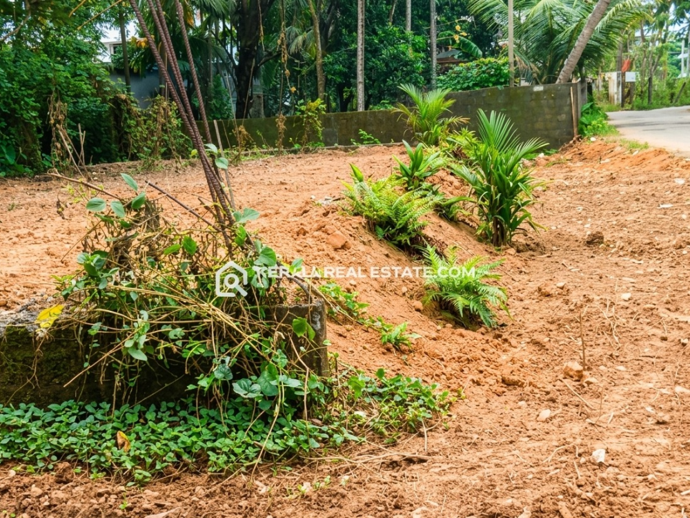Prime Land for Sale in Thuravoor, Near Cherthala, Alappuzha 