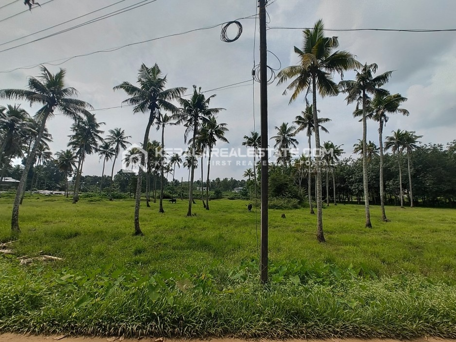 Land for sale at Moscow junction, Parampuzha, Kottayam