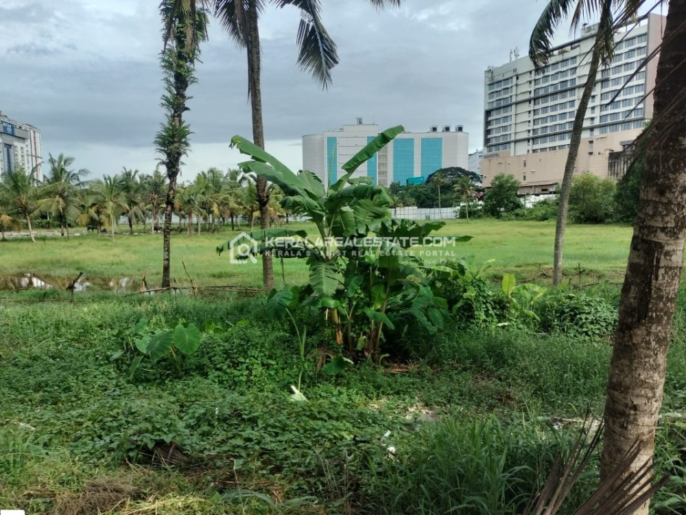Land for Sale in Kakkanad, Ernakulam 