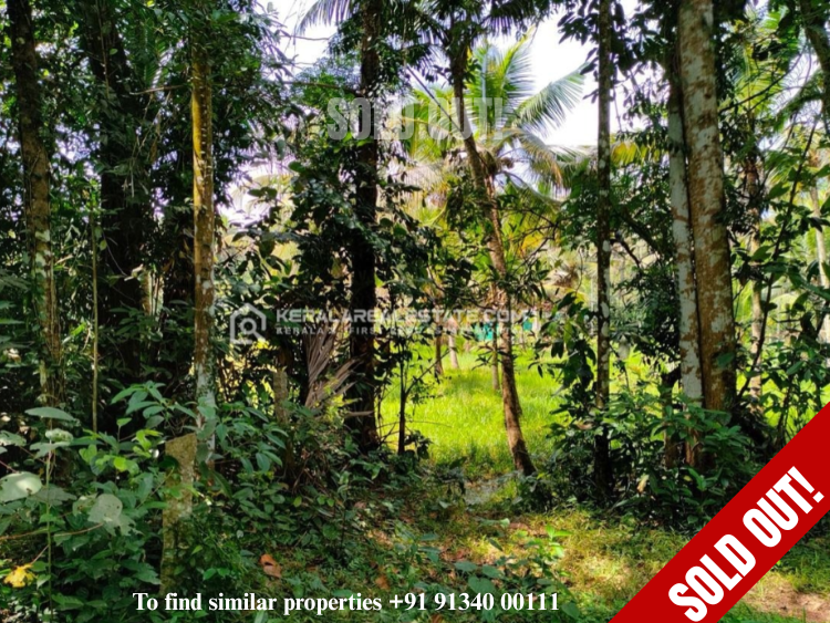Residential Land for Sale in Mavelikkara, Alappuzha 
