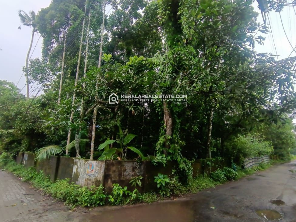 Prime Residential Land for Sale in Kodungallur, Thrissur
