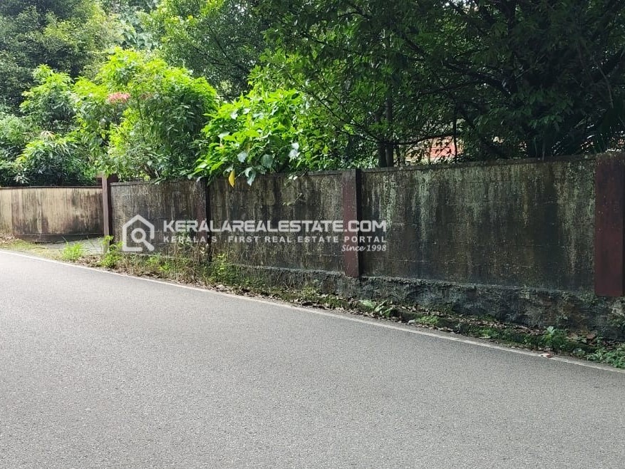 Land for Sale in Kadayiruppu, Ernakulam 