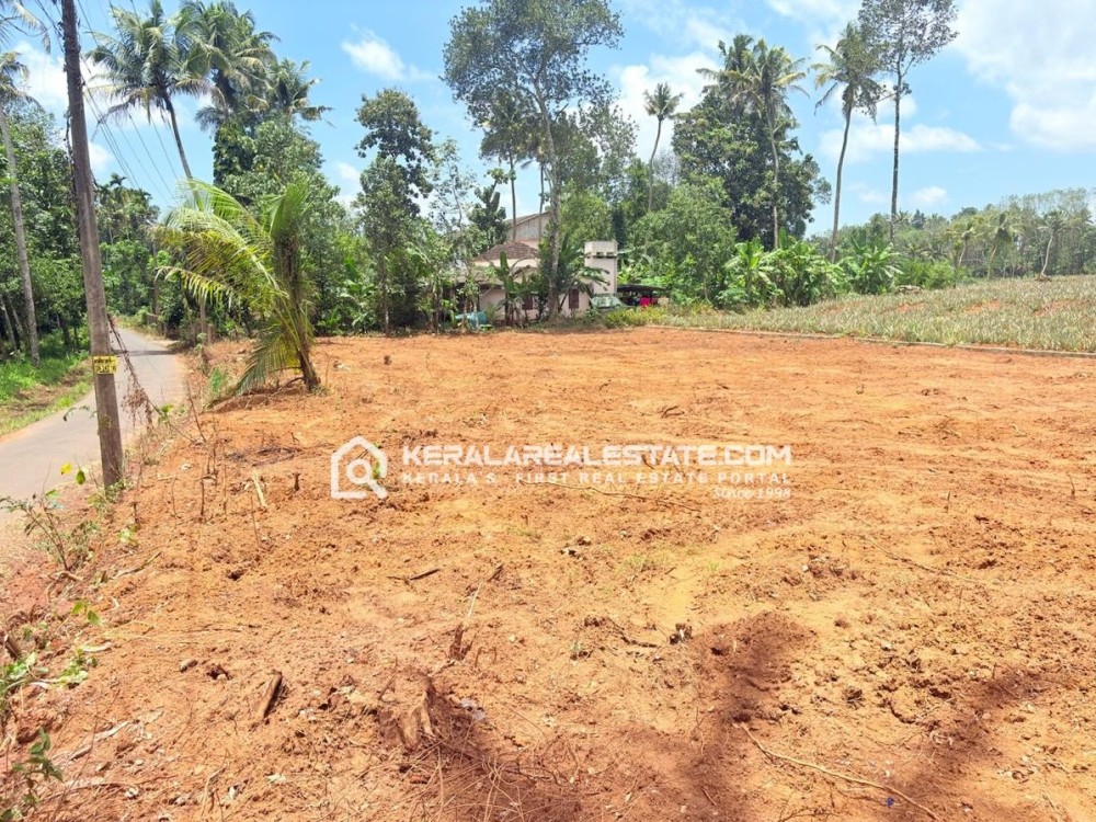 Land for Sale in Pazhamthottam, Ernakulam 