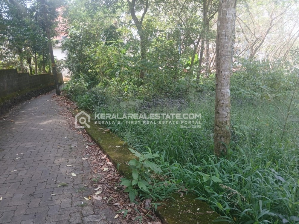 Land for Sale in Kakkanad, Ernakulam 
