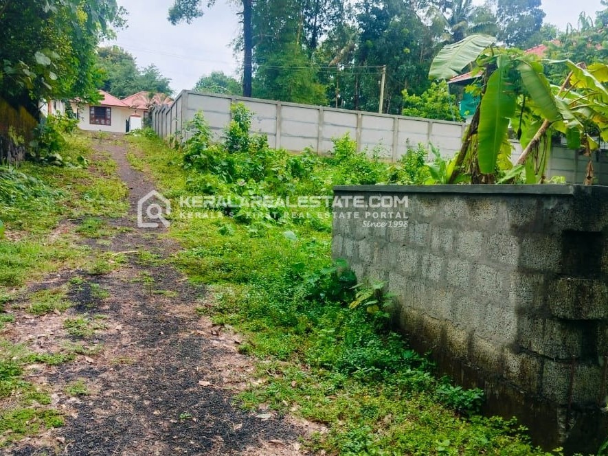 House Plot for Sale in Angamaly, Kidangoor, Ernakulam 