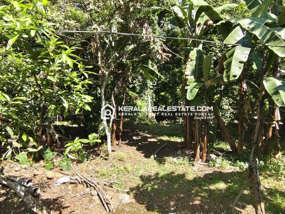 Land with House for Sale in Nellad, Ernakulam 