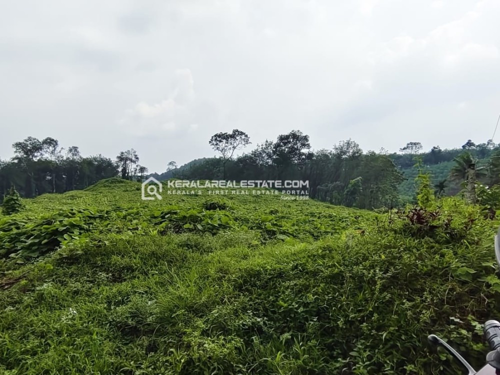 Land for Sale in Nelladu, Ernakulam 