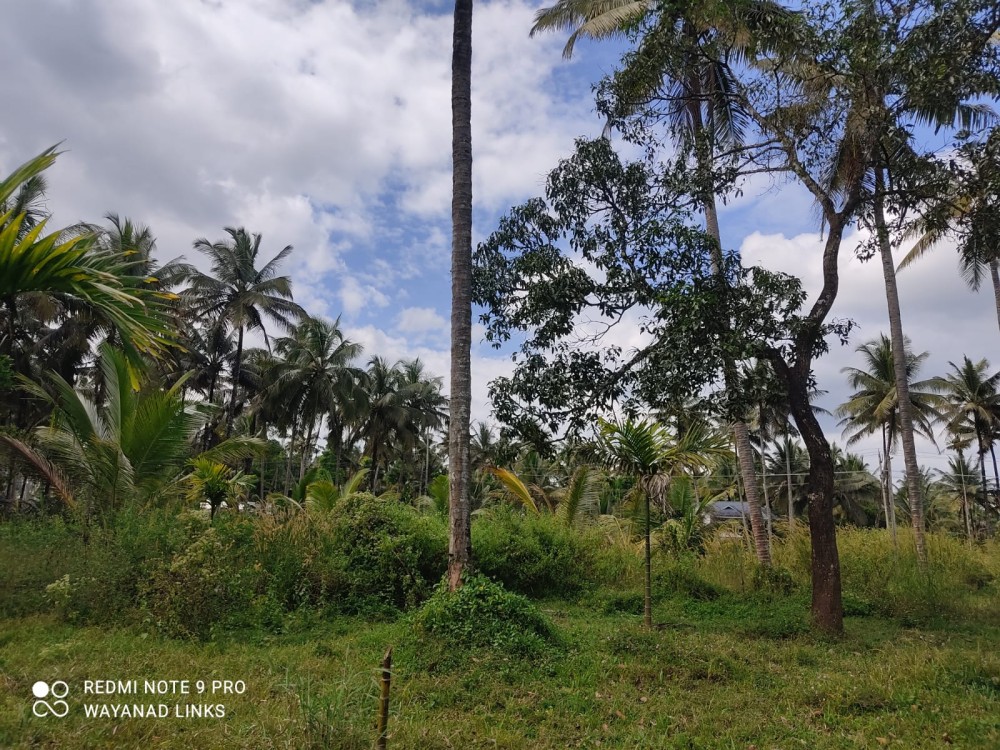 Land for Sale in Koodalkadavu, Wayanad 