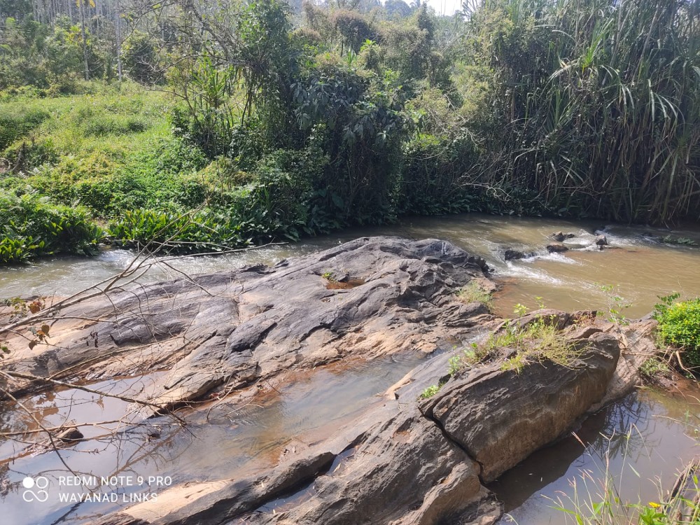 River View Plot for Sale in Koleri, Wayanad 