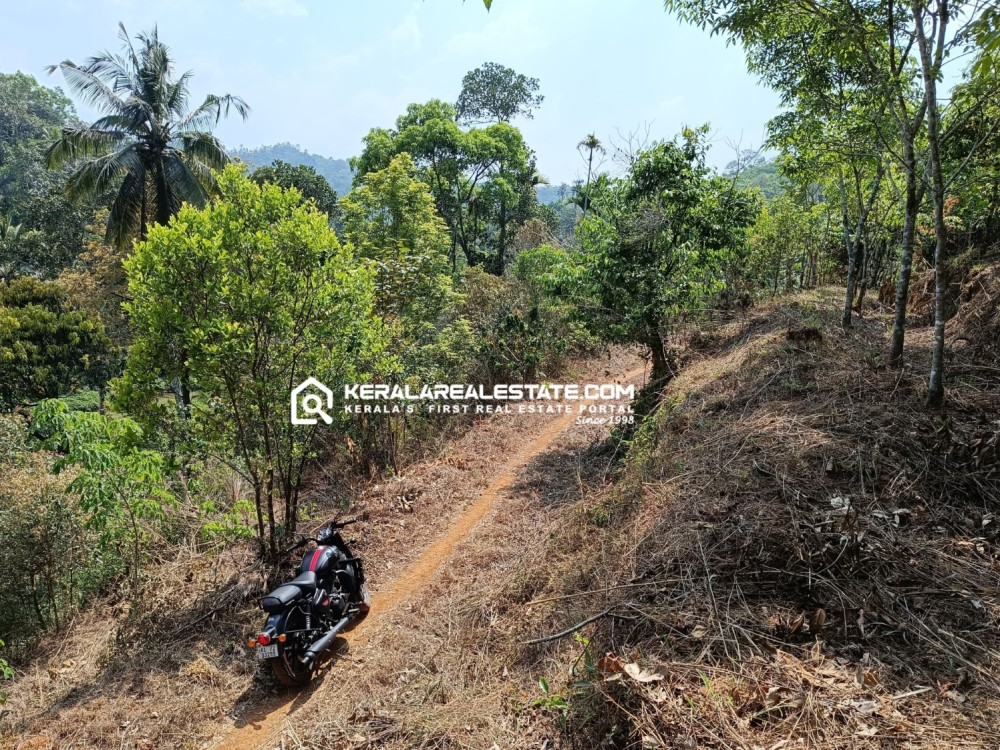 Rubber Plantation for Sale in Wayanad