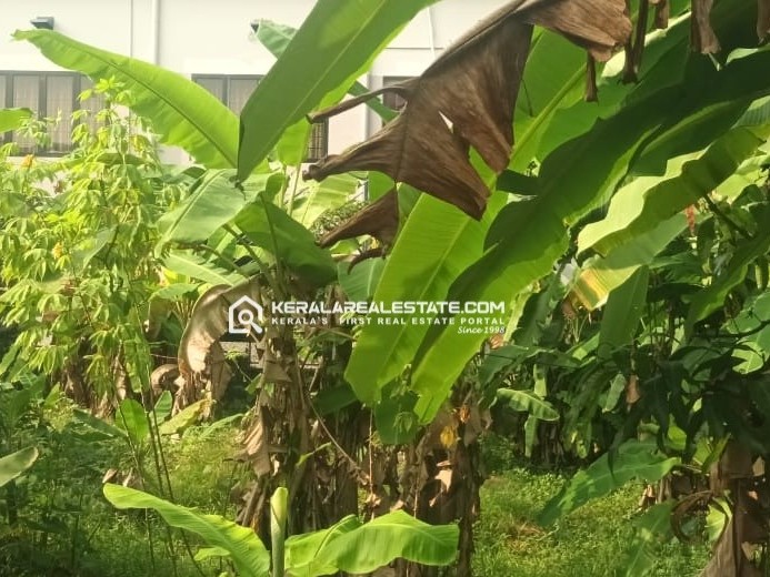 Residential Land for Sale in Palarivattom, Ernakulam 