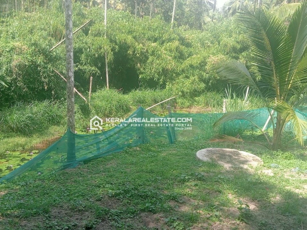 2 BHK House in 40 Cents for Sale in Thrikaipatta, Wayanad 