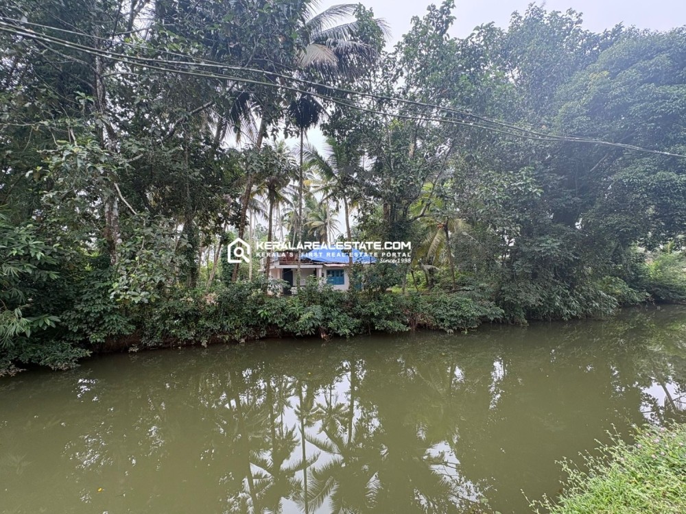 Riverside Land for Sale in Illikkal, Kottayam 