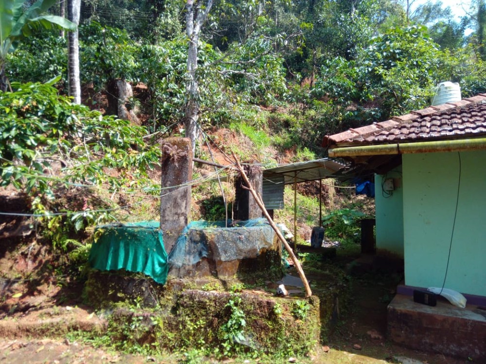 Luxury Estate with House for Sale in Vythiri, Wayanad