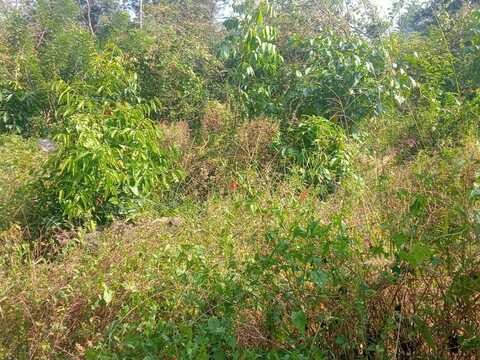 Premium Villa Plot for Sale in Muttil, Wayanad 