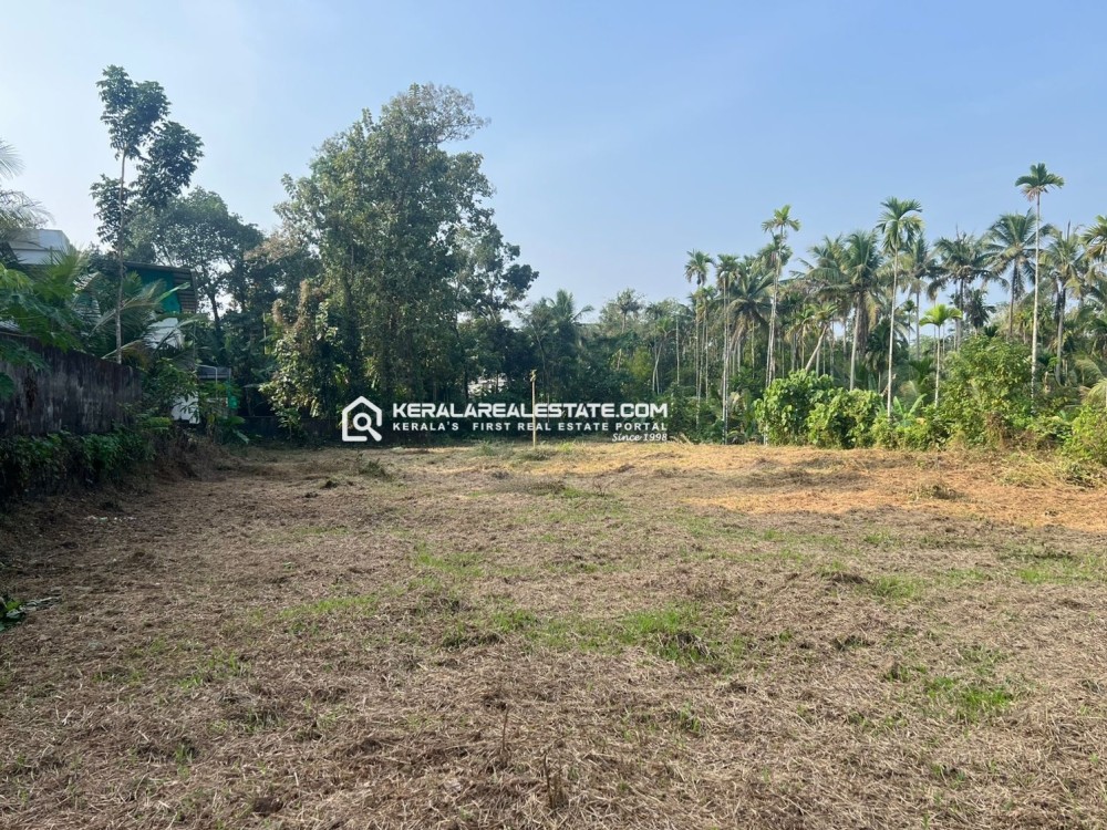 Land for Sale in Karukutty, Angamaly, Ernakulam 