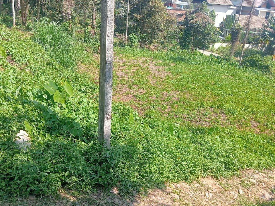 Residential Plot for Sale in Kalpetta, Wayanad 