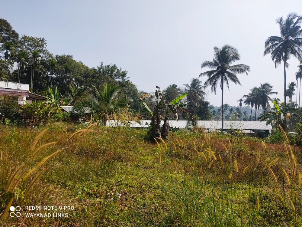 Plot for Sale in Valavayal, Irulam, Wayanad 
