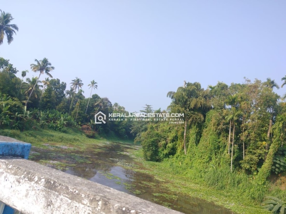 Waterside Houseplots for Sale Near Cochin Airport, Ernakulam 