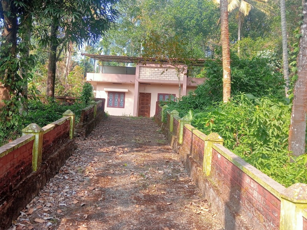 House/Villa for Sale in Meenangadi, Wayanad 