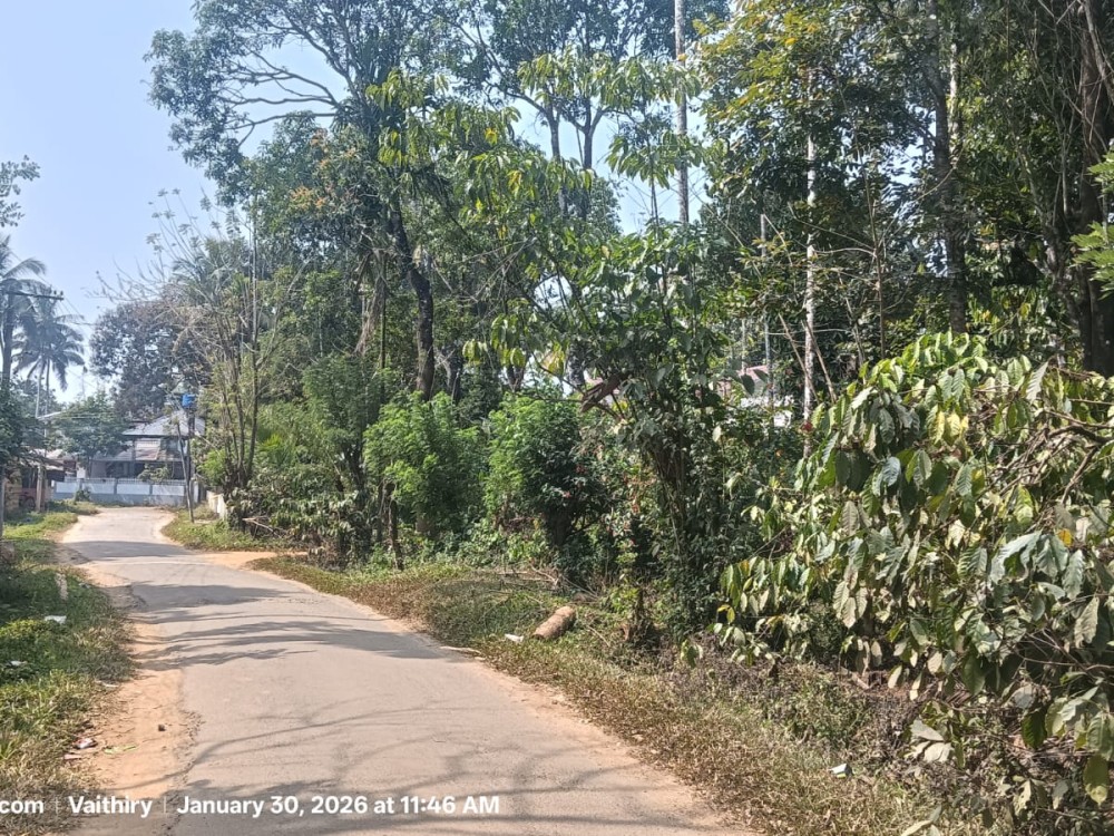 Land for Sale in Padinjarathara, Wayanad