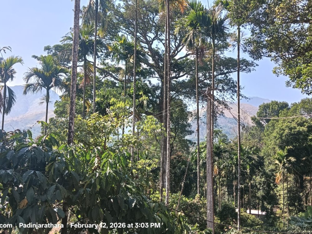 Luxury Reservoir Frontage Property for Sale in Banasura, Wayanad