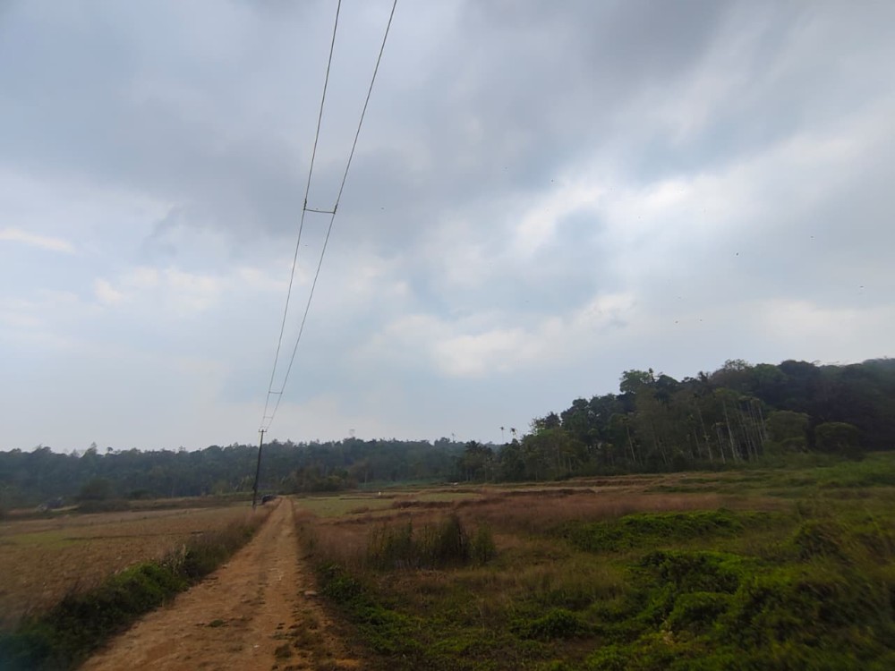 Land for Sale in Thrissilery, Wayanad