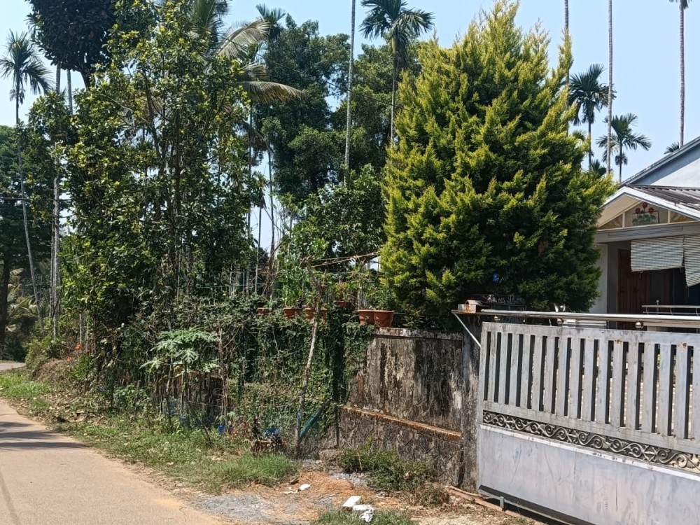 1 Acre Land with 3BHK House for Sale in Kumbalad, Kambalakkad, Wayanad 