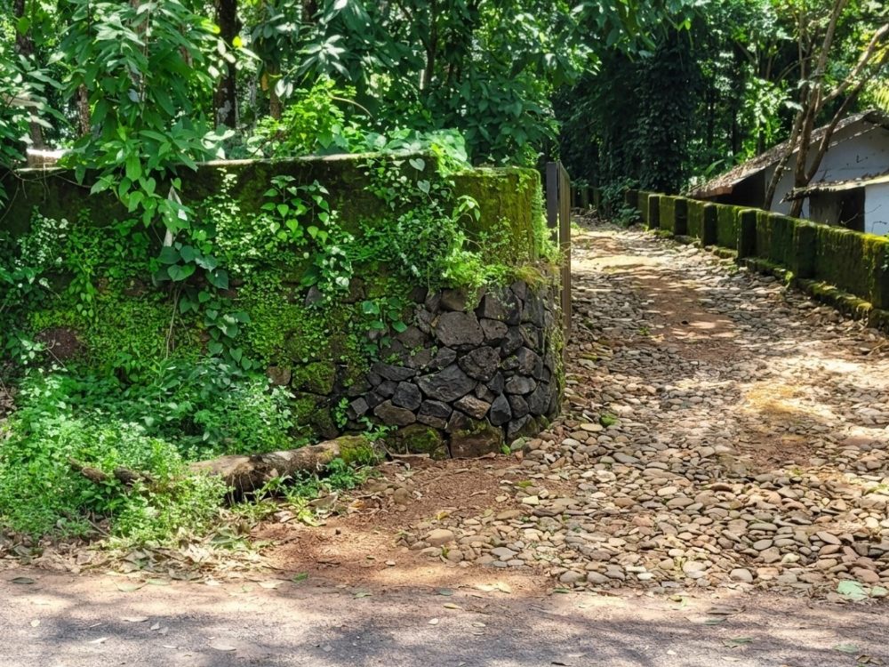 Land for Sale in Memury, Kuruppanthara, Kottayam 