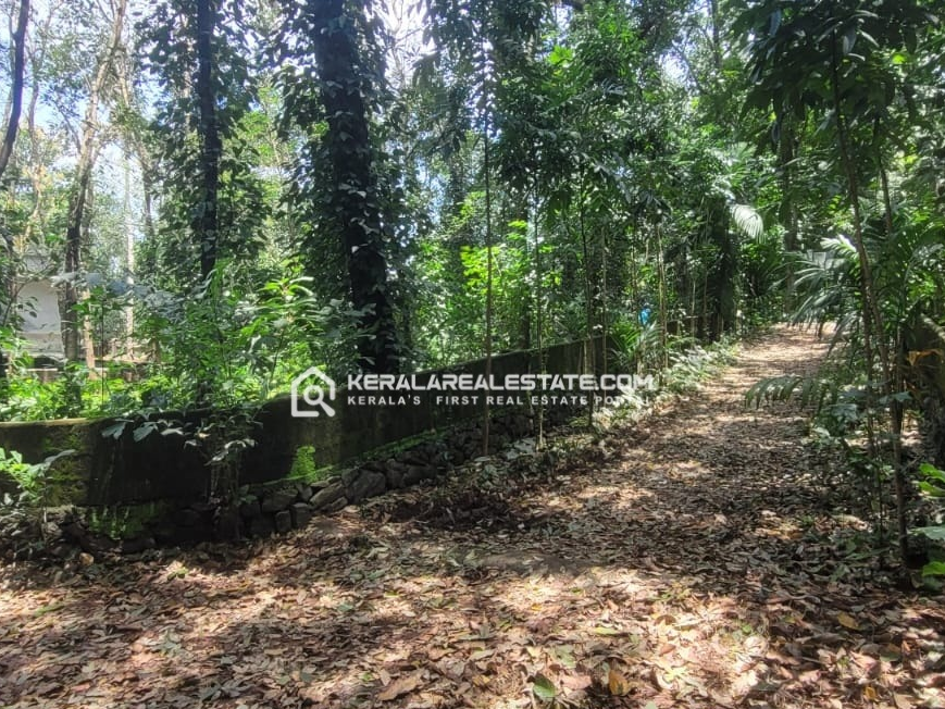Land for Sale in Memury, Kuruppanthara, Kottayam 