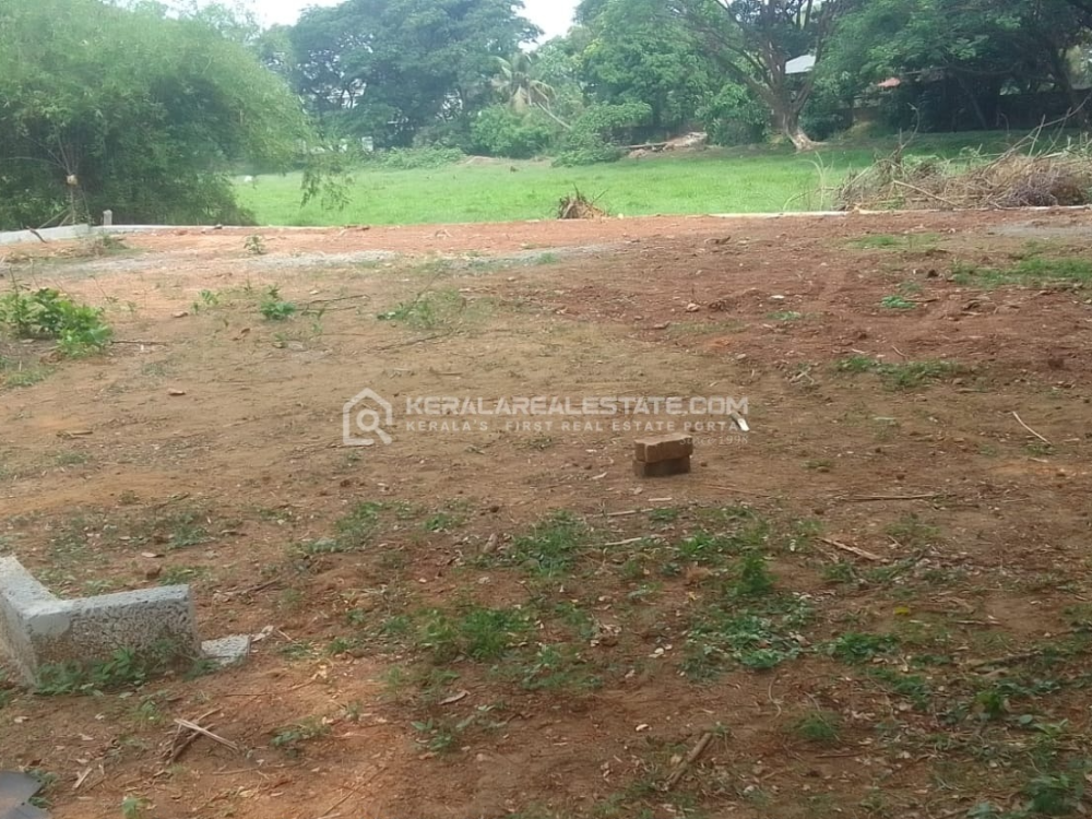 Prime Plot for Sale in Ollur, Thrissur